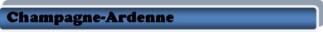 logo_idf